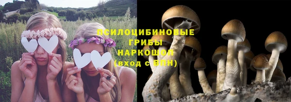 дживик Няндома