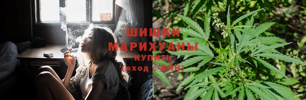 гашик Нягань